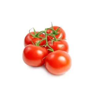 گوجه فرنگی
